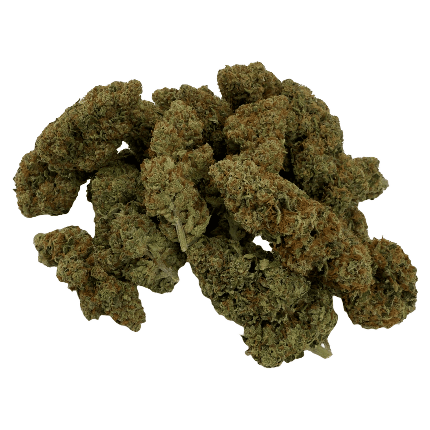 GOLDEN ORIENT – BIO-CBD-BLÜTE – LICHTABILITÄT