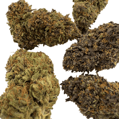 LEGENDARY PLATINUM OG – BIO-CBD-BLÜTE