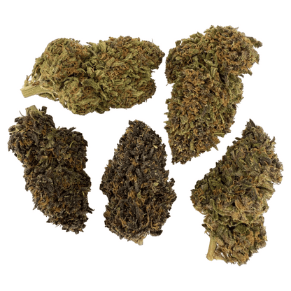LEGENDARY PLATINUM OG – BIO-CBD-BLÜTE