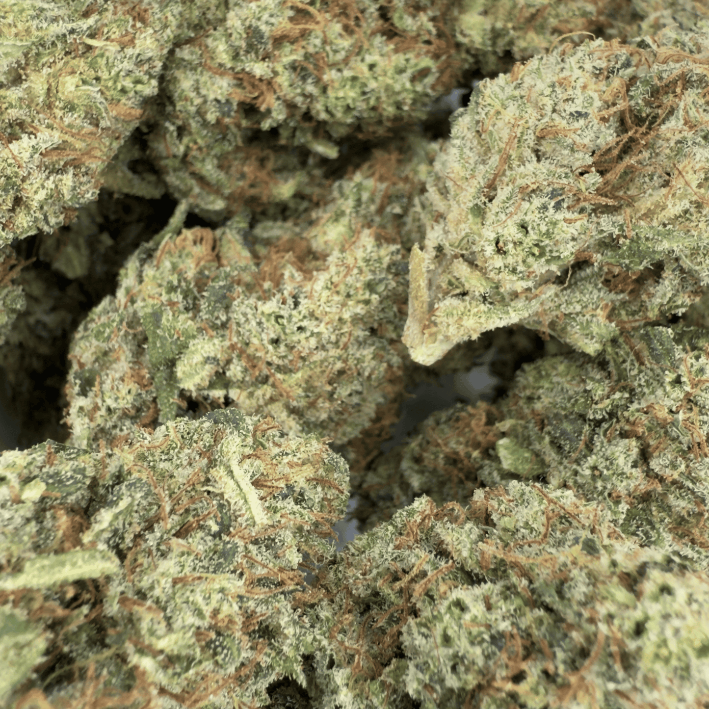 LEMENTOS - BIO-CBD-BLÜTE - LICHTDEP