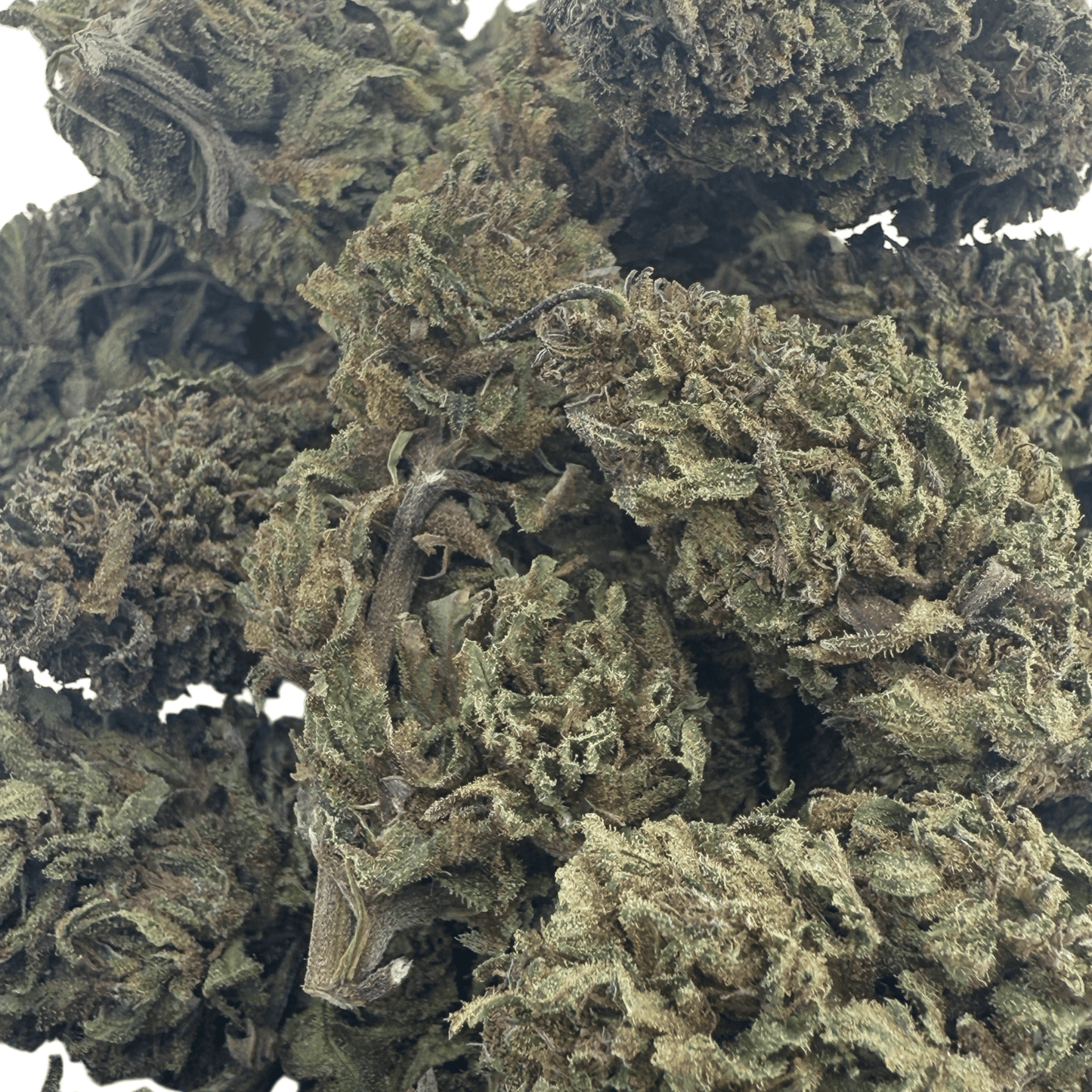 LIMONADE – BIO-CBD-BLÜTE