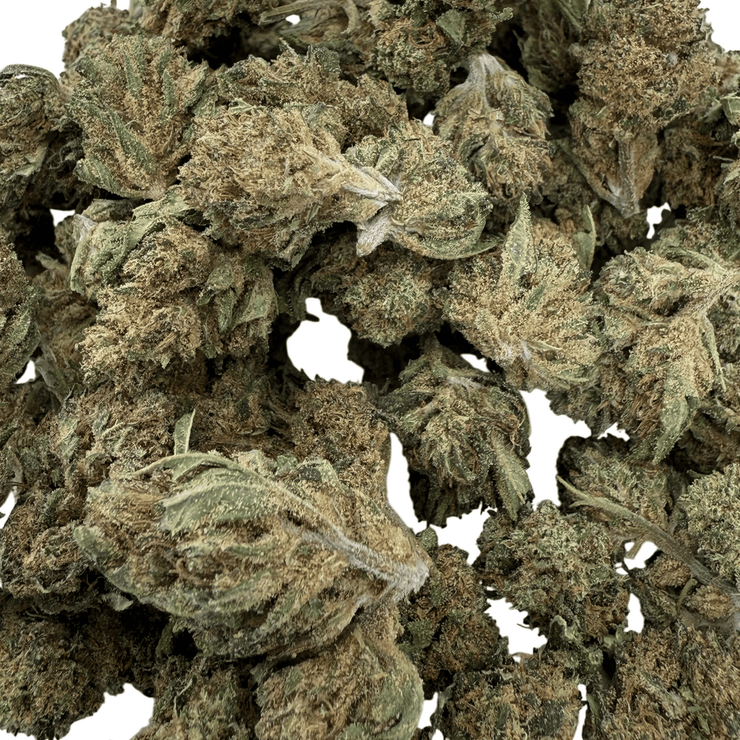 LEMON PIE – KLEINE BIO-CBD-BLÜTE