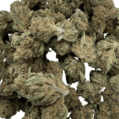 LEMON PIE – KLEINE BIO-CBD-BLÜTE