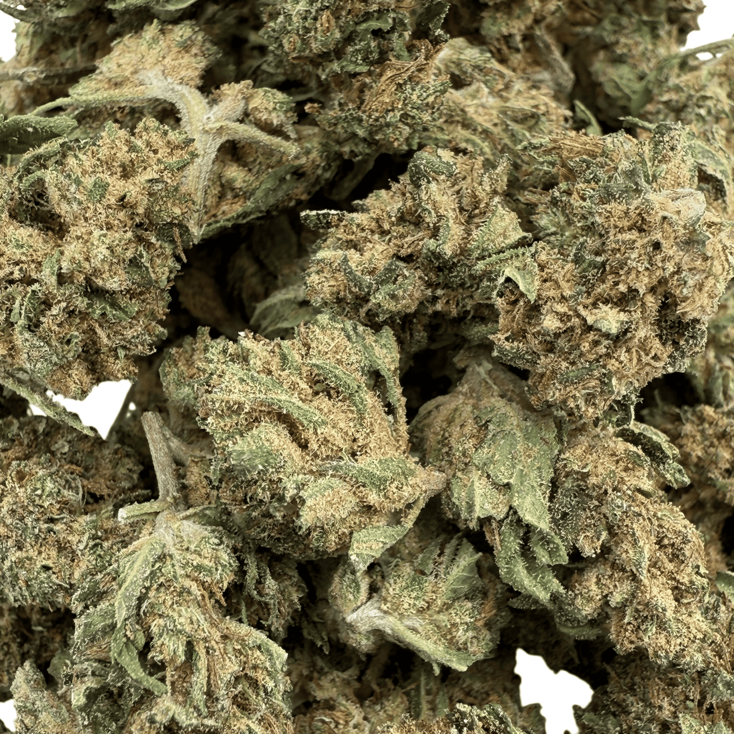 LEMON PIE – KLEINE BIO-CBD-BLÜTE