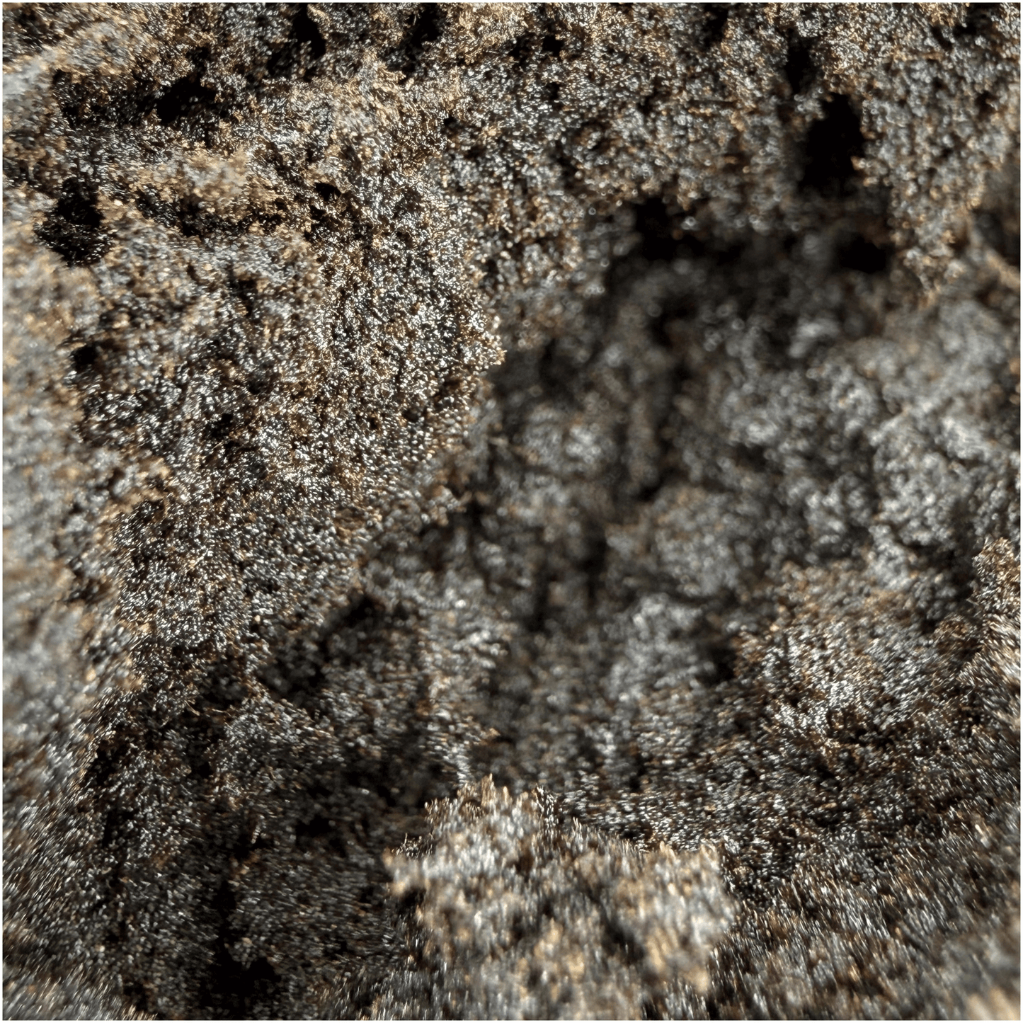 NEPALESISCHES CBN – CBD &amp; CBN-HARZ