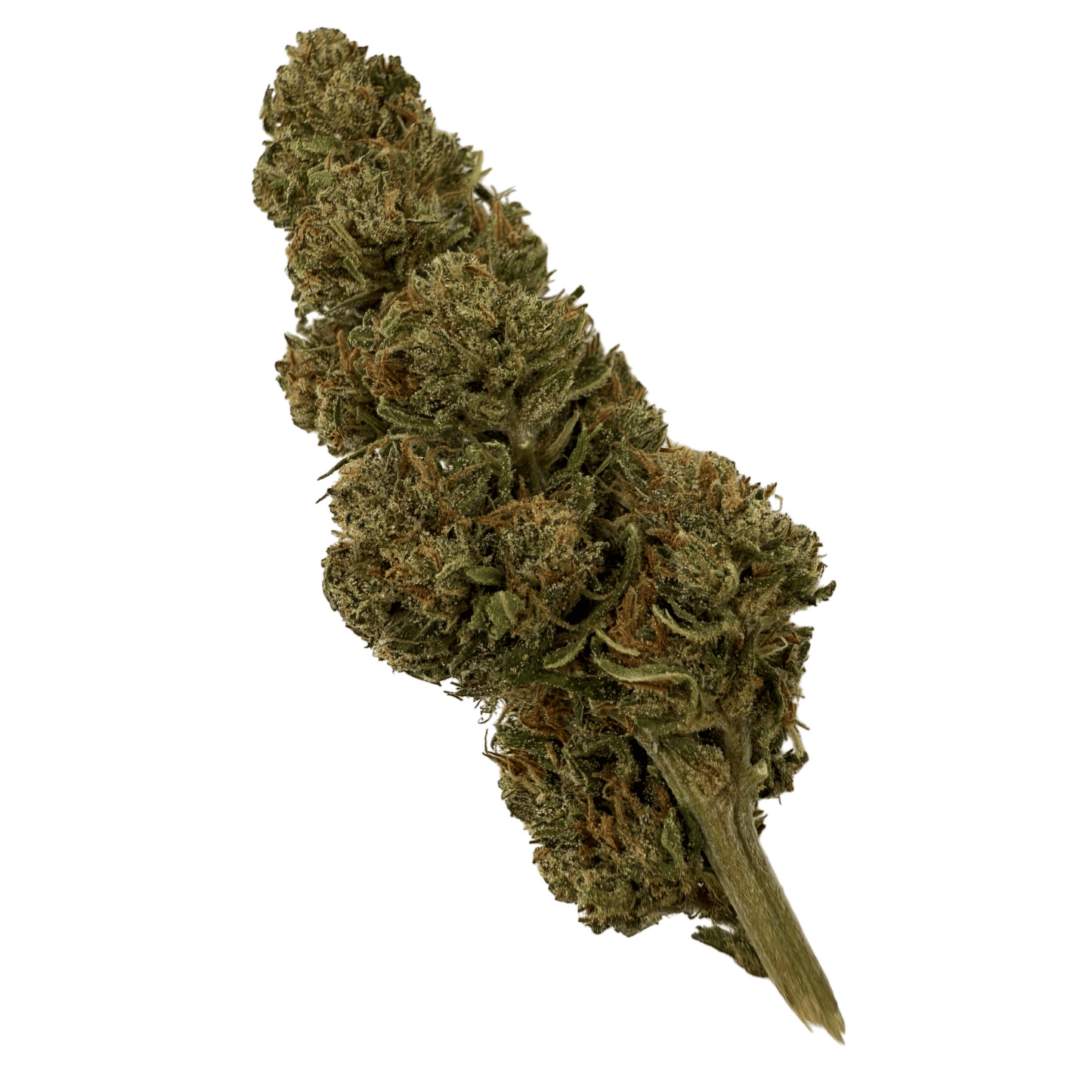 PINE WALKER – BIO-CBDV-BLÜTE