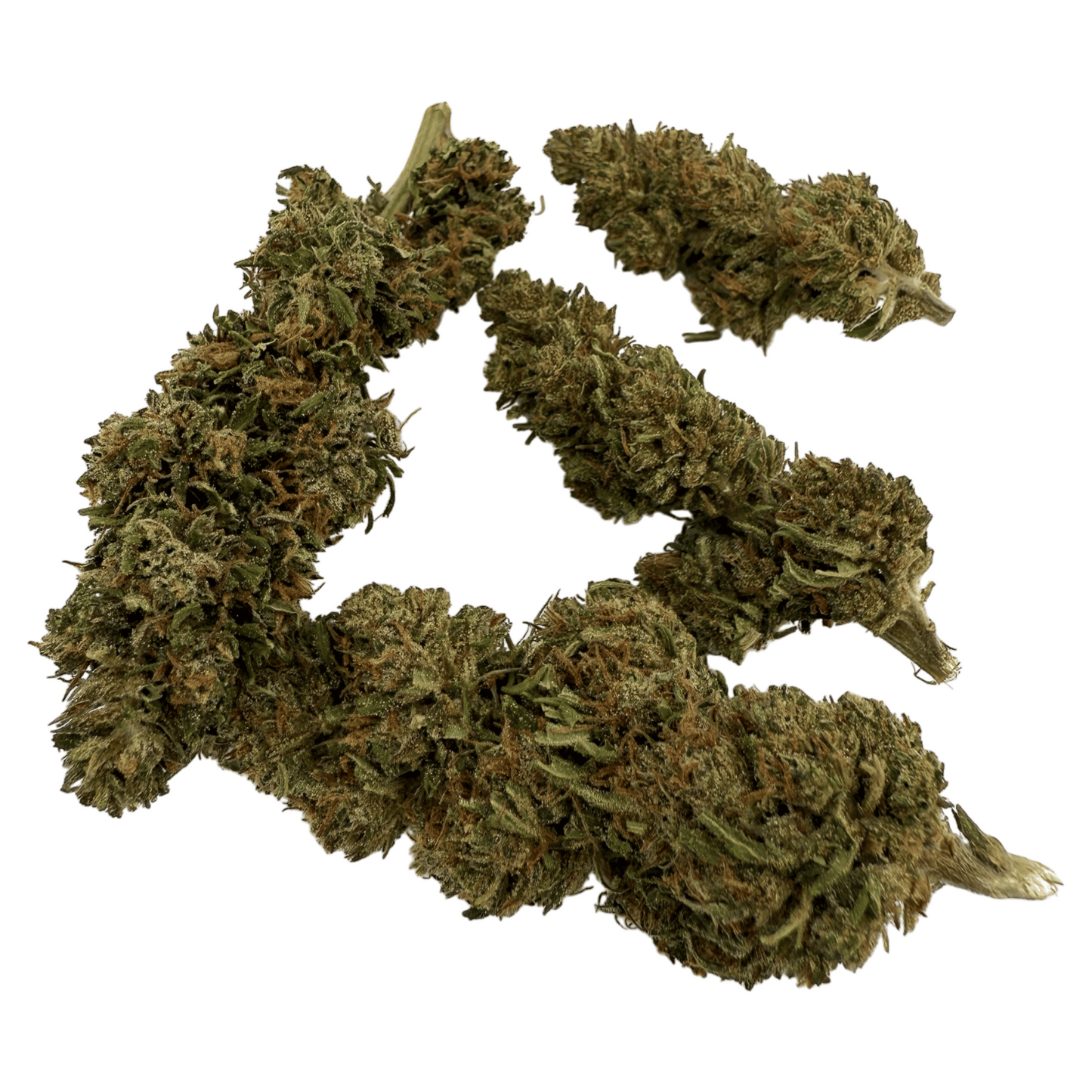 PINE WALKER – BIO-CBDV-BLÜTE