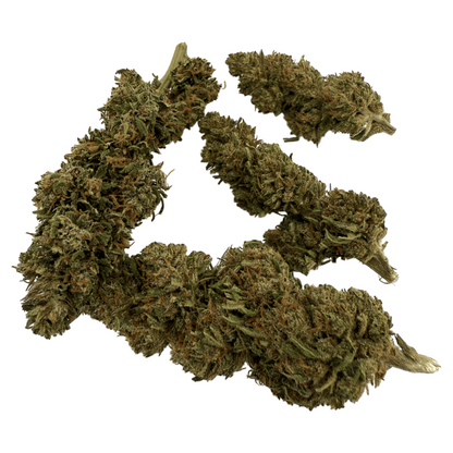 PINE WALKER – BIO-CBDV-BLÜTE