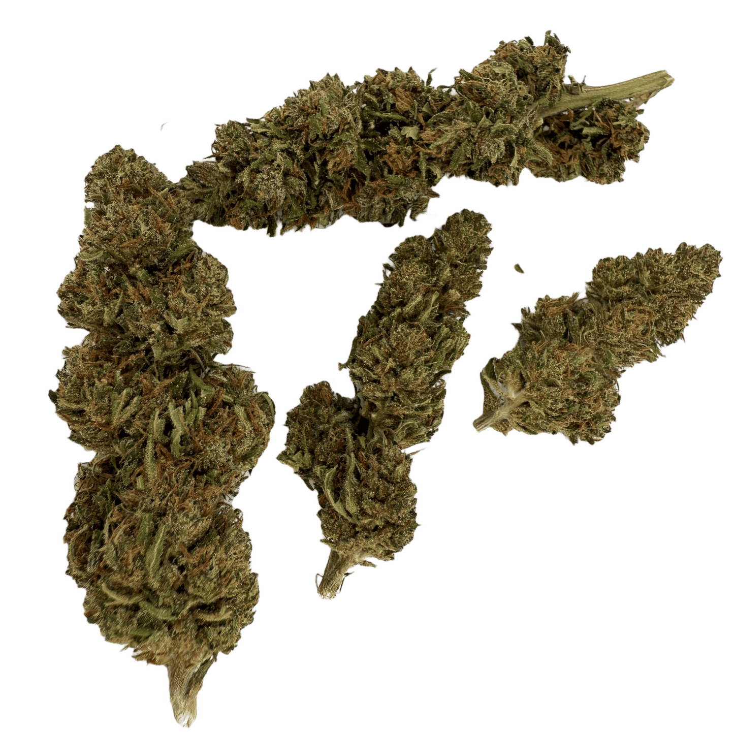 PINE WALKER – BIO-CBDV-BLÜTE