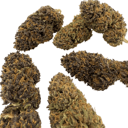 PLATINUM PANTHER – BIO-CBD-BLÜTE