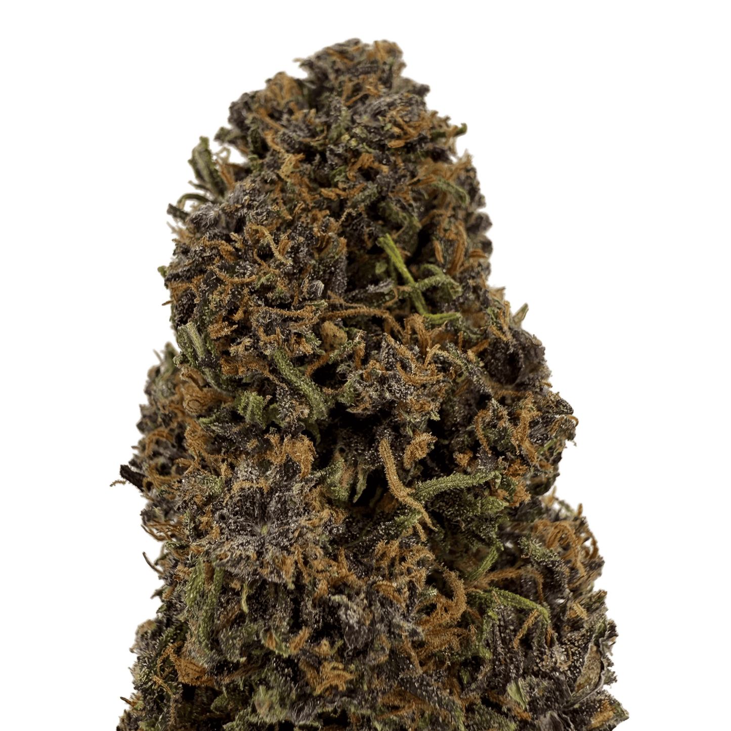 PLOOKIES – BIO-CBD-BLÜTE – LICHTABTÖNUNG
