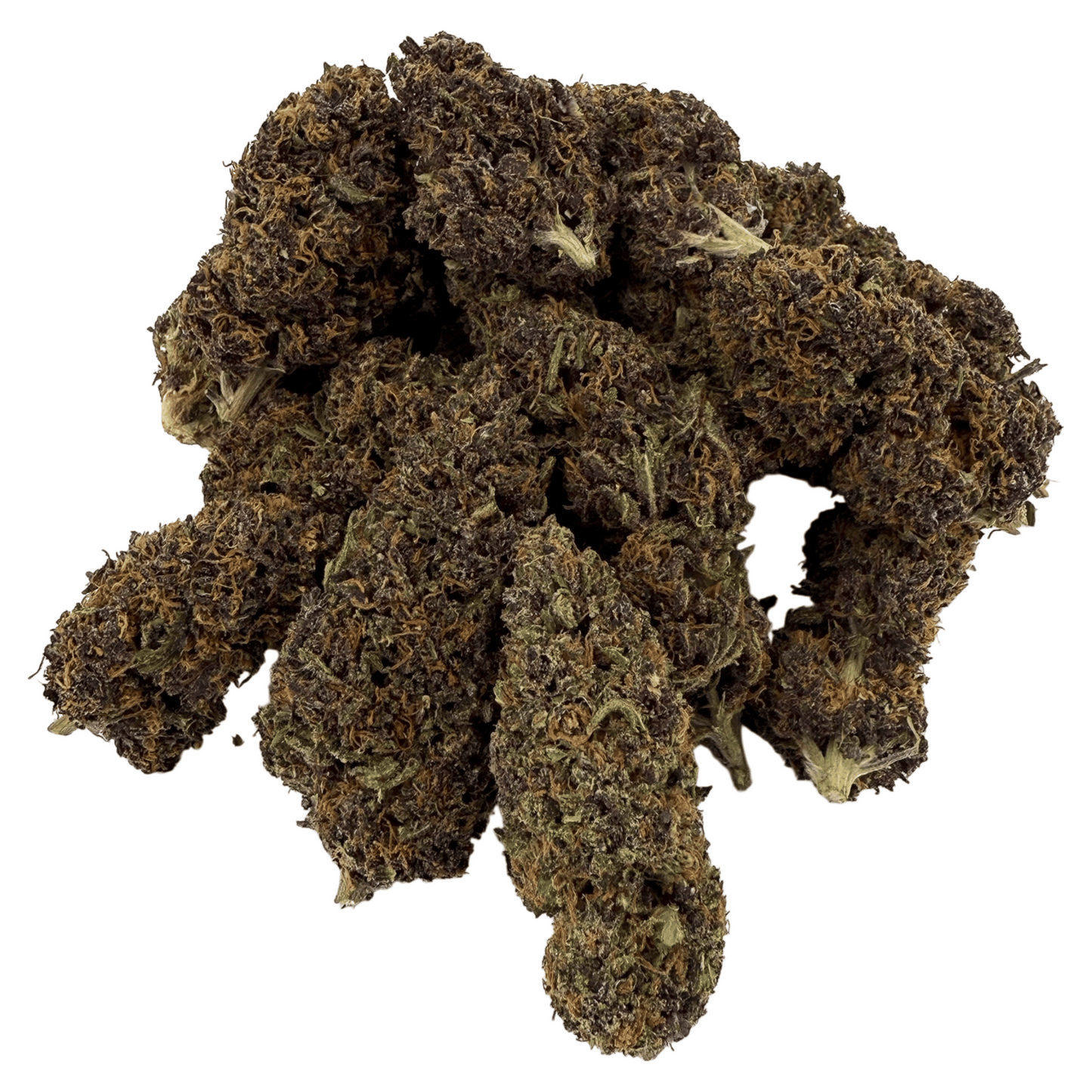 PLOOKIES – BIO-CBD-BLÜTE – LICHTABTÖNUNG