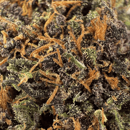 PLOOKIES – BIO-CBD-BLÜTE – LICHTABTÖNUNG
