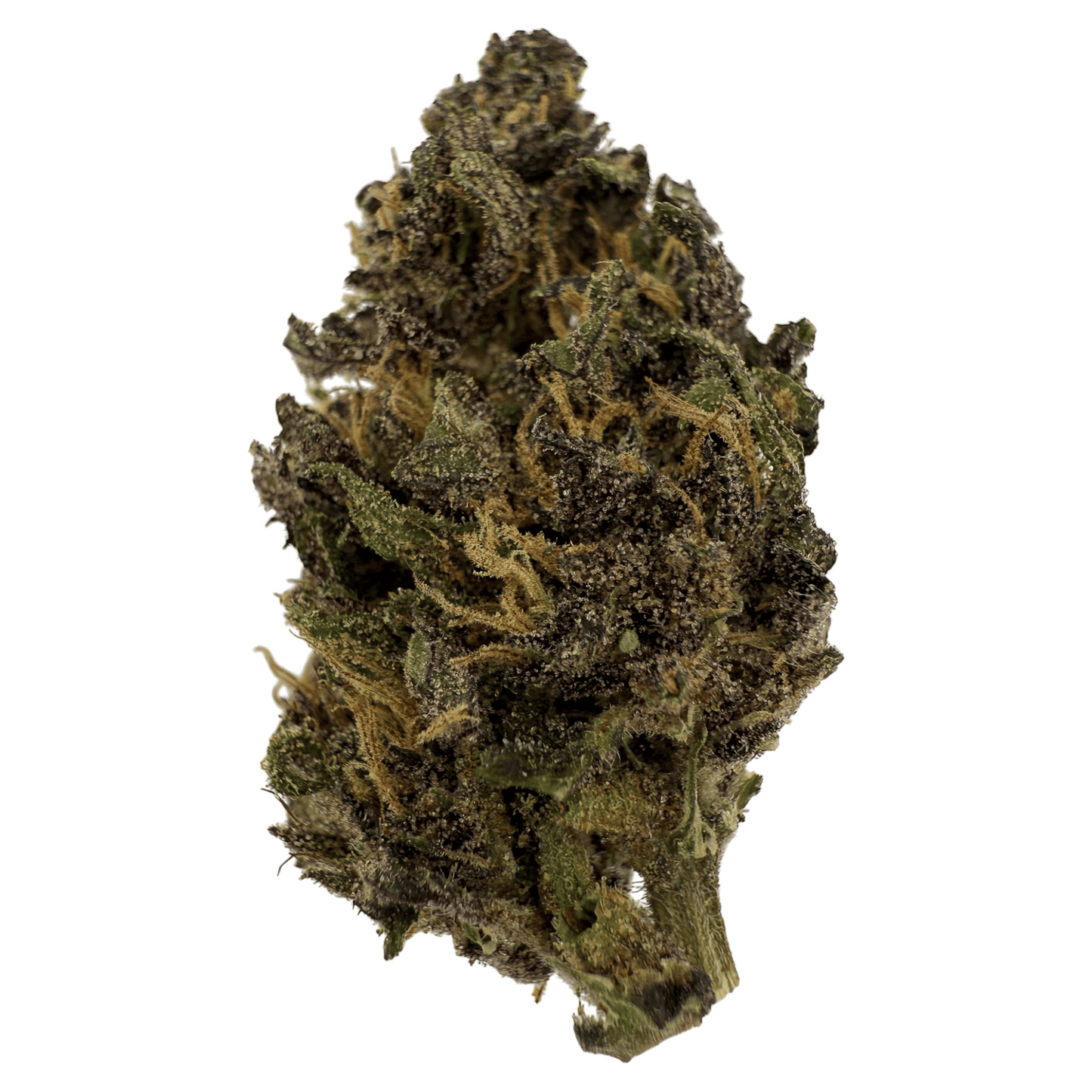 PURPLE HAZE – BIO-CBD-BLÜTE
