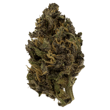 PURPLE HAZE – BIO-CBD-BLÜTE