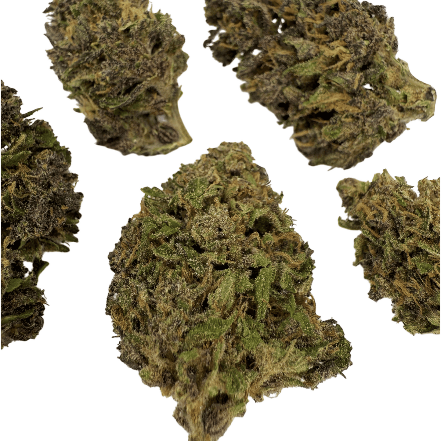 PURPLE HAZE – BIO-CBD-BLÜTE