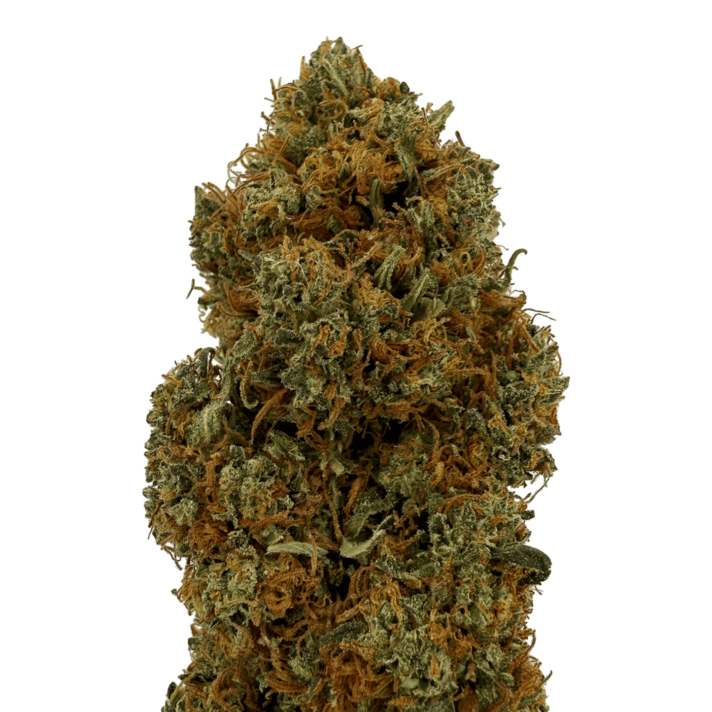 RAKETENSOSSE - BIO-CBD-BLÜTE - LEICHTE TIEFE