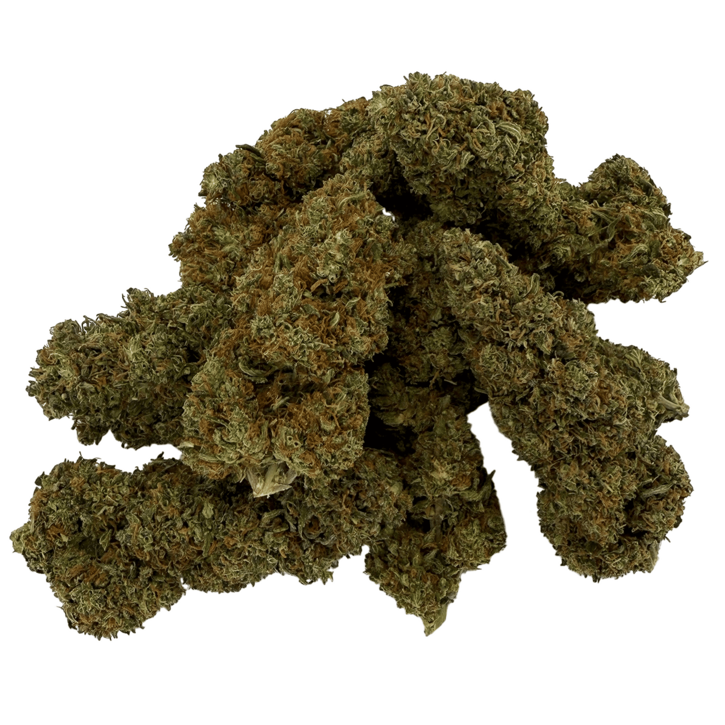 RAKETENSOSSE - BIO-CBD-BLÜTE - LEICHTE TIEFE