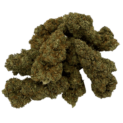 RAKETENSOSSE - BIO-CBD-BLÜTE - LEICHTE TIEFE