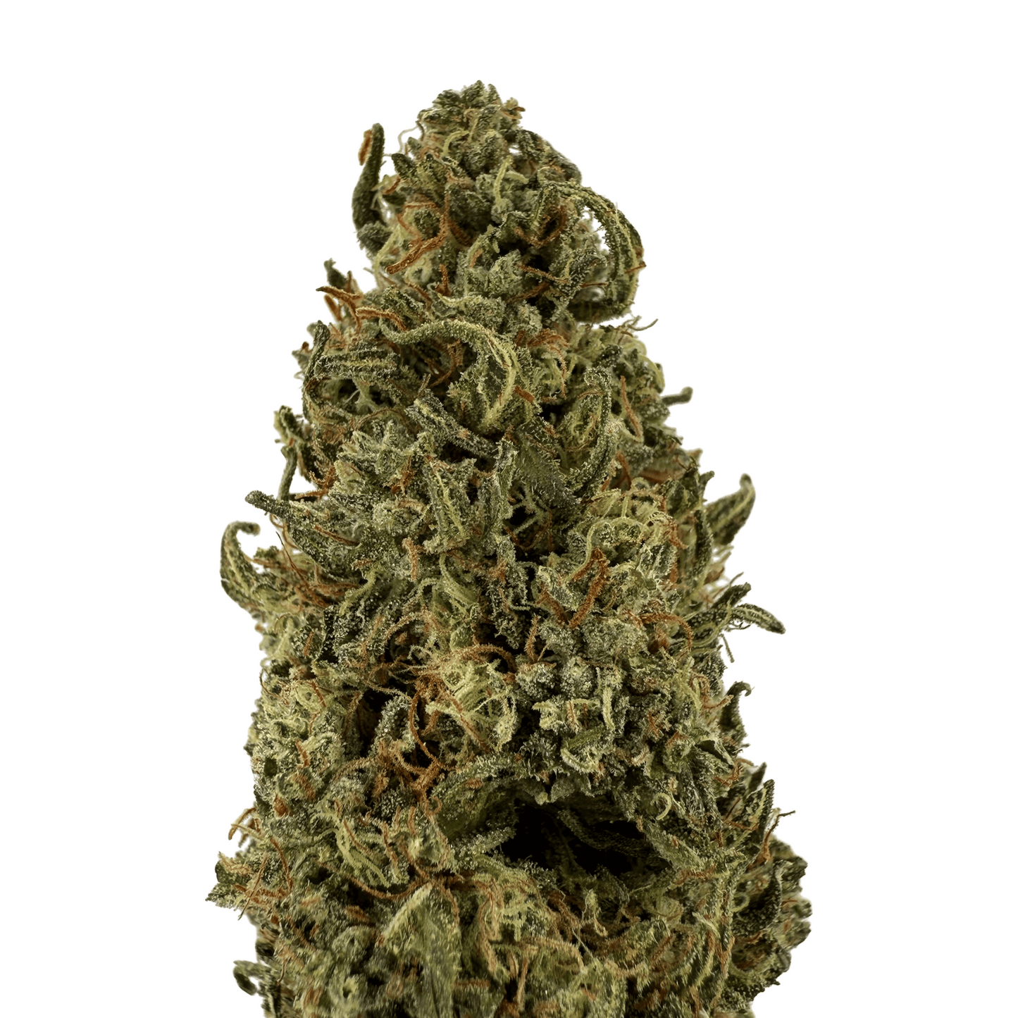 SKUNK JAM – BIO-CBD-BLÜTE – LEICHTE TIEFE