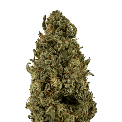 SKUNK JAM – BIO-CBD-BLÜTE – LEICHTE TIEFE