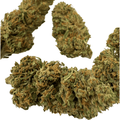 VITALITY - BIO-CBD-BLÜTE