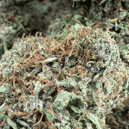 YAK PUDDING – BIO-CBD-BLÜTE – LEICHTE TIEFE