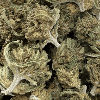 CARAMELO – KLEINE BIO-CBD-BLÜTE 