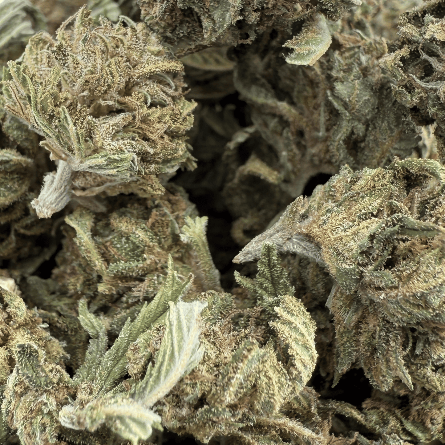 CARAMELO – KLEINE BIO-CBD-BLÜTE 