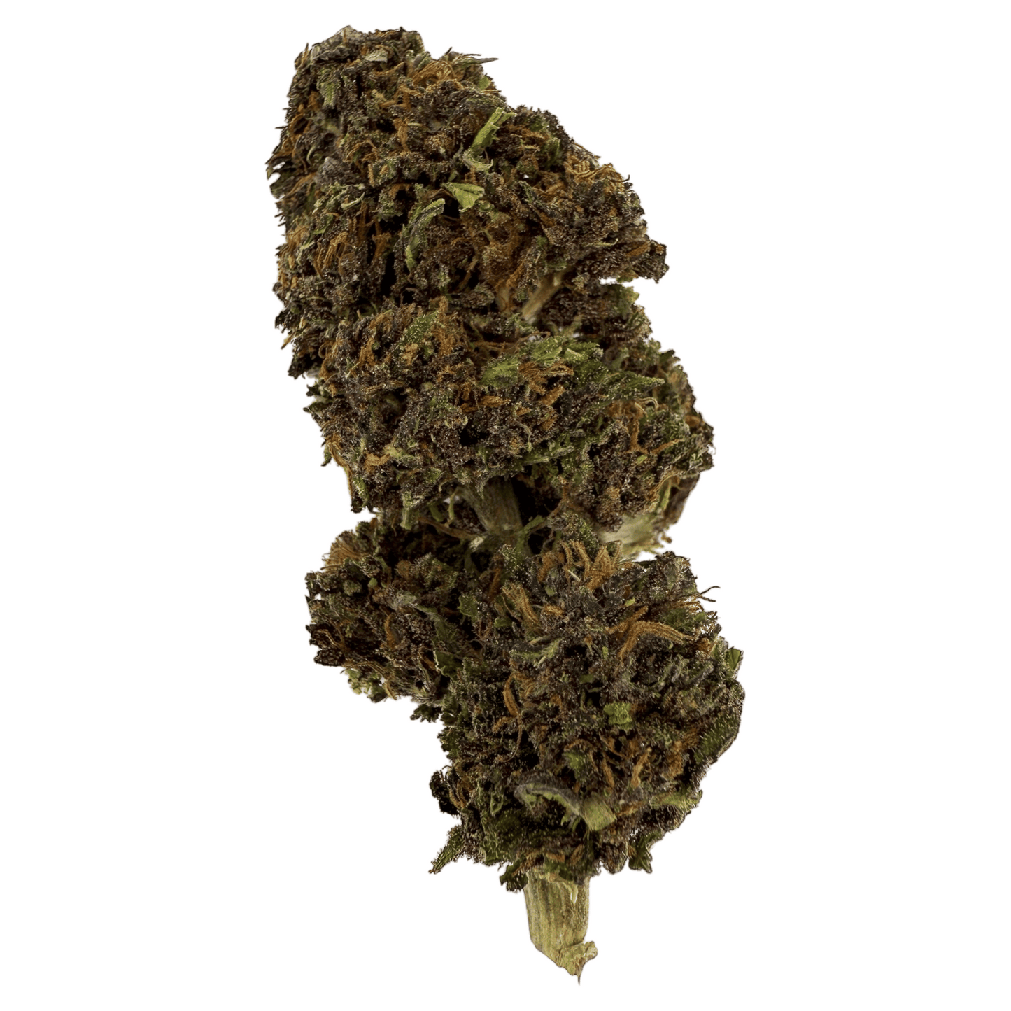 DOUBLE COOKIE – BIO-CBD-BLÜTE