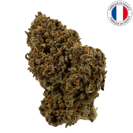 LEGENDARY PLATINUM OG - fleur de cbd bio (Amour de Chanvre)