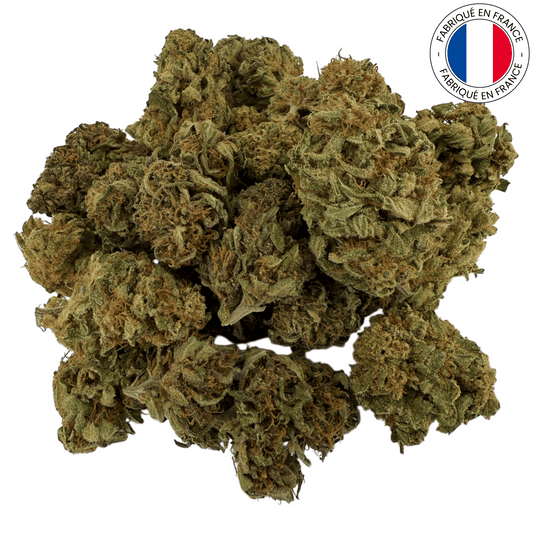 Mango Haze - Fleur de CBD bio (Amour de Chanvre)