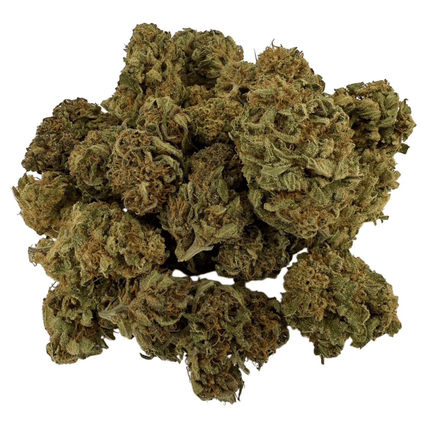 MANGO HAZE – BIO-CBD-BLÜTE