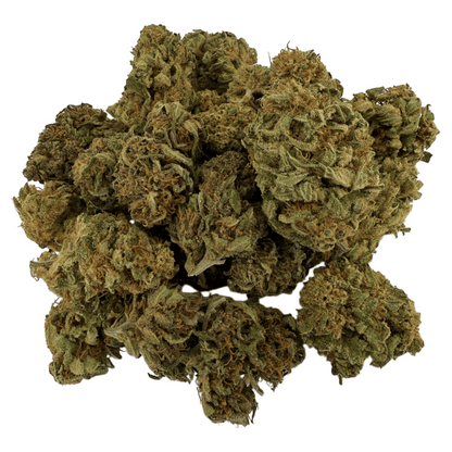 MANGO HAZE – BIO-CBD-BLÜTE