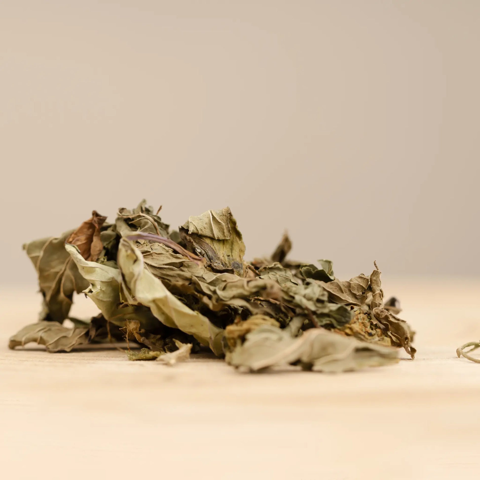 MÎNTHÉ - INFUSION 100% FRANÇAISE AU CBD BIO les plantes de tomine