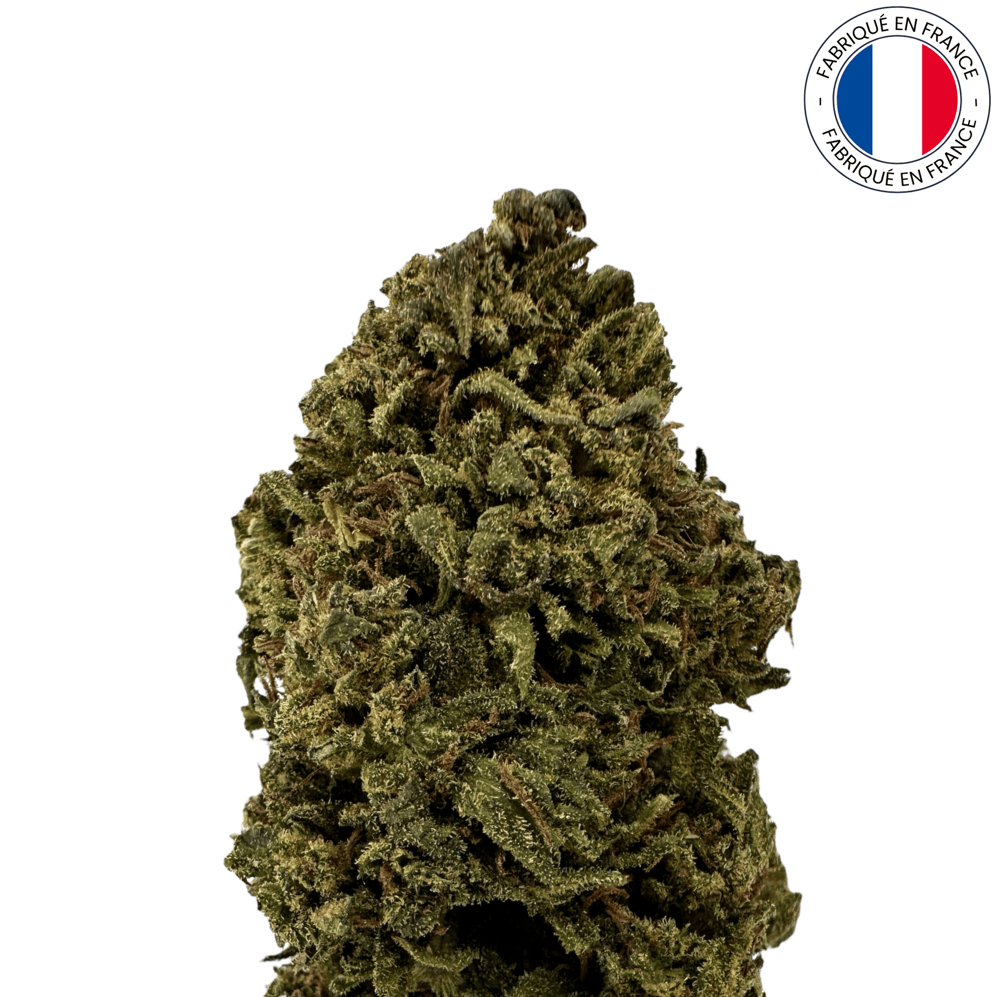 ORANGE BUDDHA - FLEUR DE CBD BIO (Amour de Chanvre)