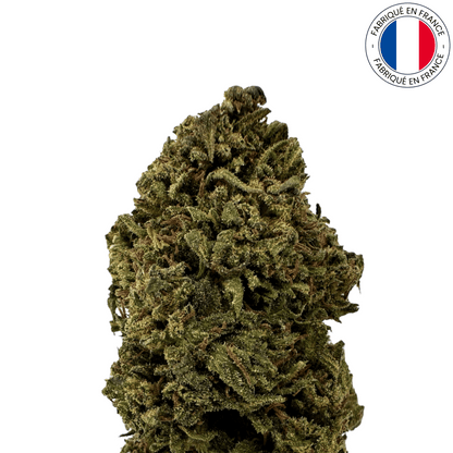 ORANGE BUDDHA - FLEUR DE CBD BIO (Amour de Chanvre)