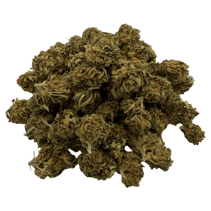 PASSION HAZE – KLEINE BIO-CBD-BLÜTE