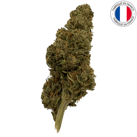 Pine Walker - Fleur de CBDV bio (Amour de Chanvre)