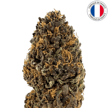 PLATINUM PANTHER - fleur de cbd bio (Les botanistes en herbe)