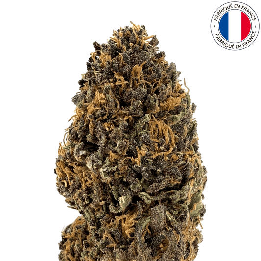 PLATINUM PANTHER - fleur de cbd bio (Les botanistes en herbe)