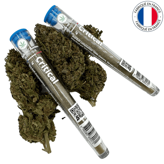 Joint de CBD pré-roulé "Critical" (Amour de Chanvre)