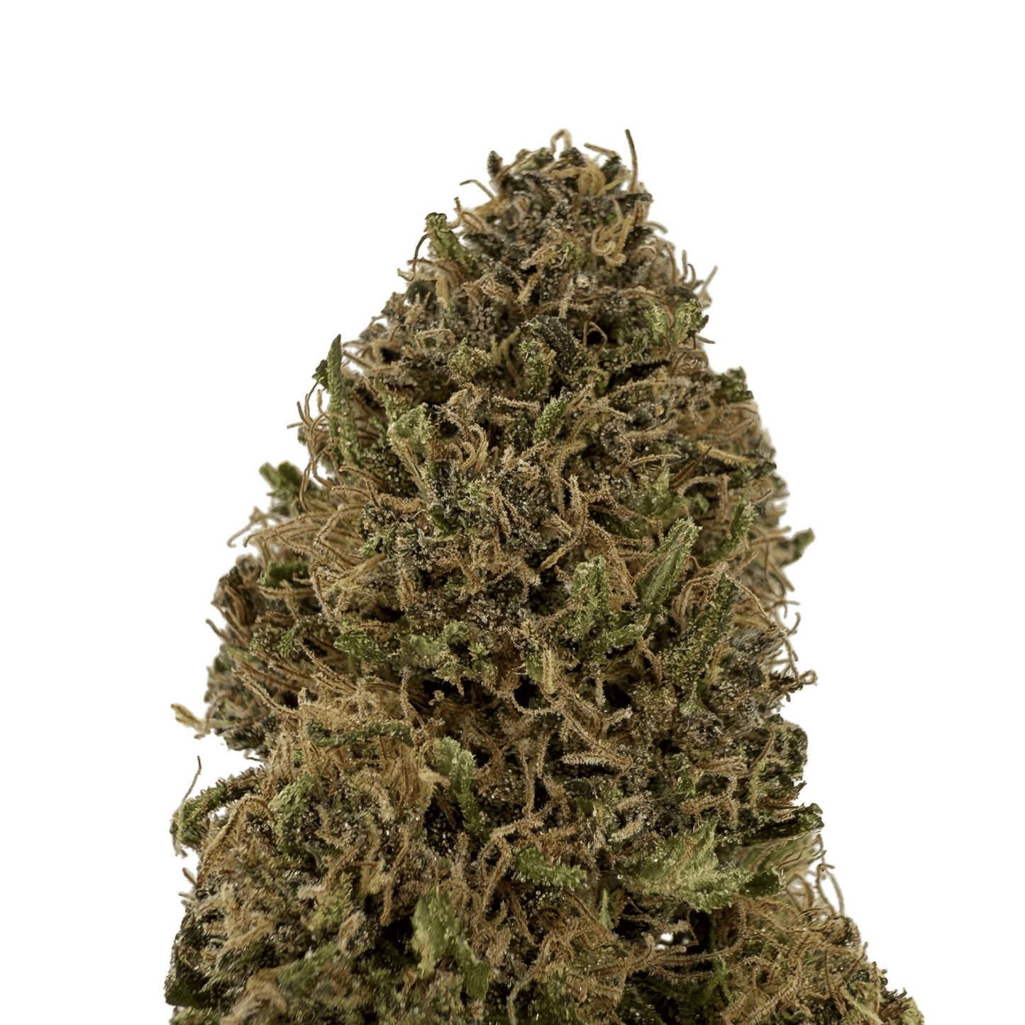 SOUR DIESEL – BIO-CBD-BLÜTE