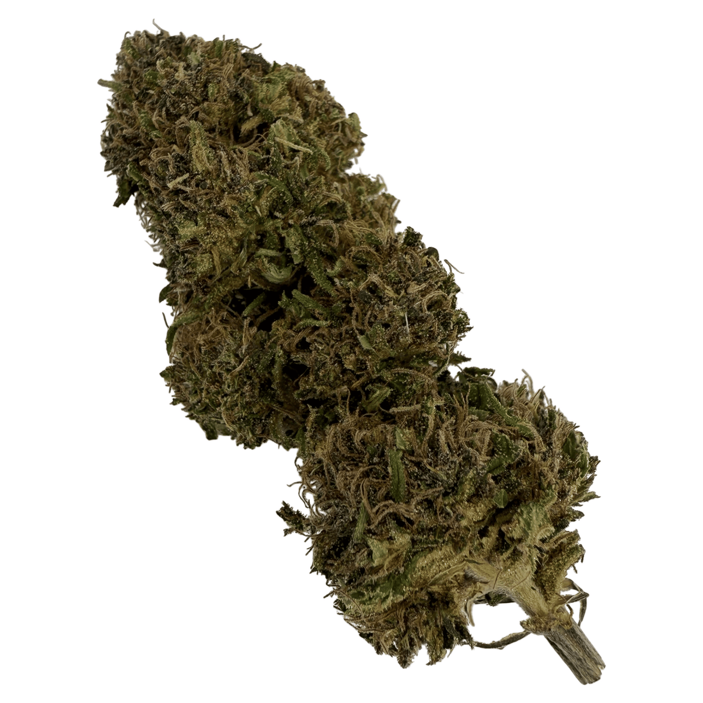 SOUR DIESEL – BIO-CBD-BLÜTE