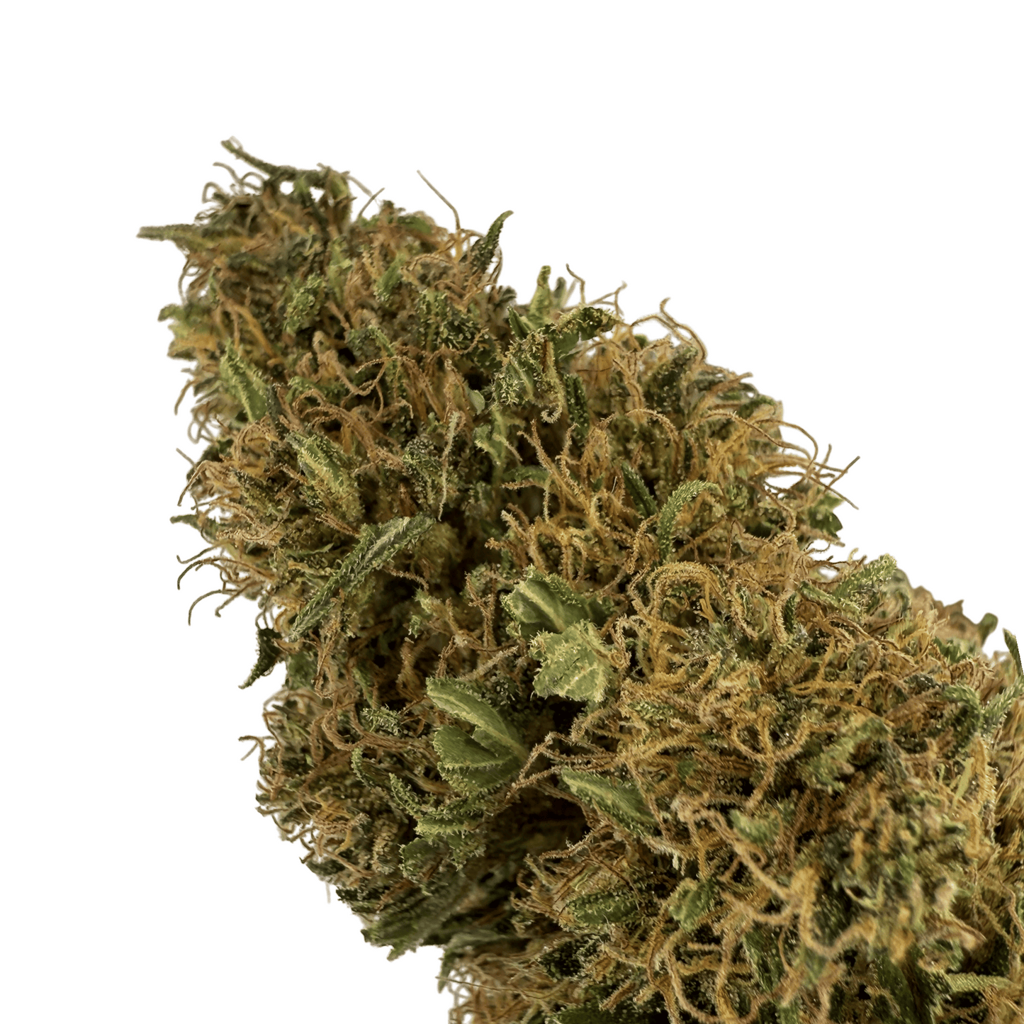 SOUR DIESEL – BIO-CBD-BLÜTE