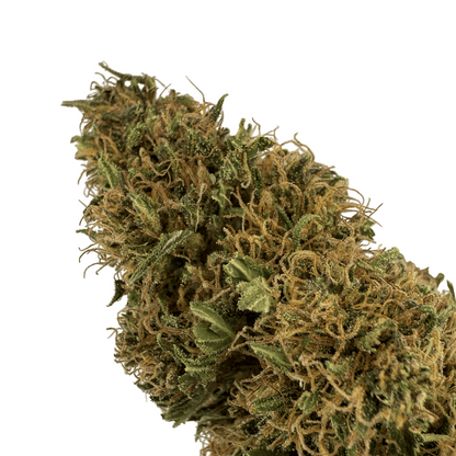 SOUR DIESEL – BIO-CBD-BLÜTE