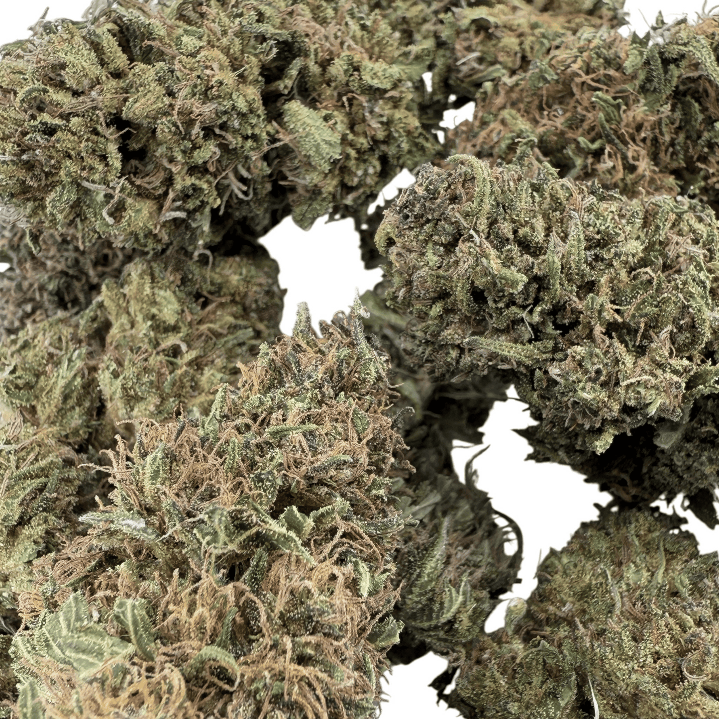 SOUR DIESEL – BIO-CBD-BLÜTE