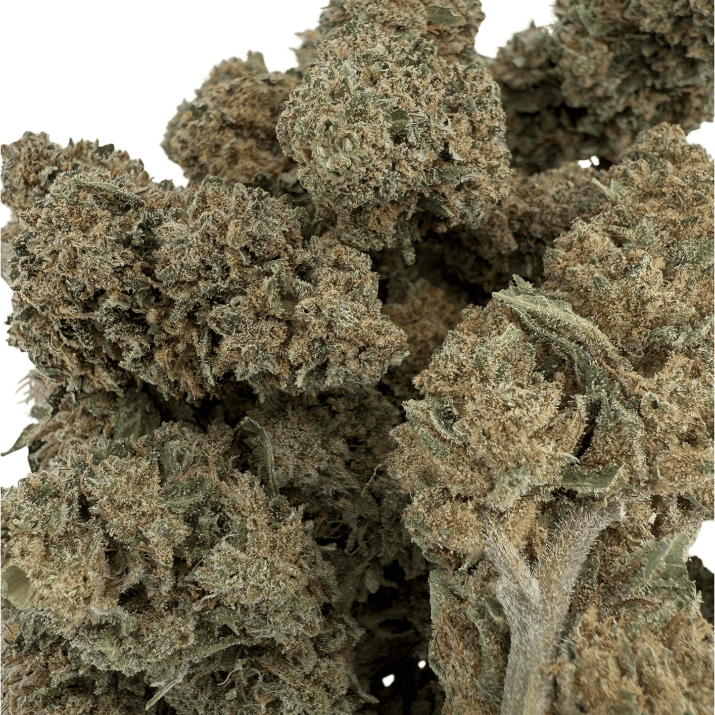 SUPER SKUNK – BIO-CBD-BLÜTE