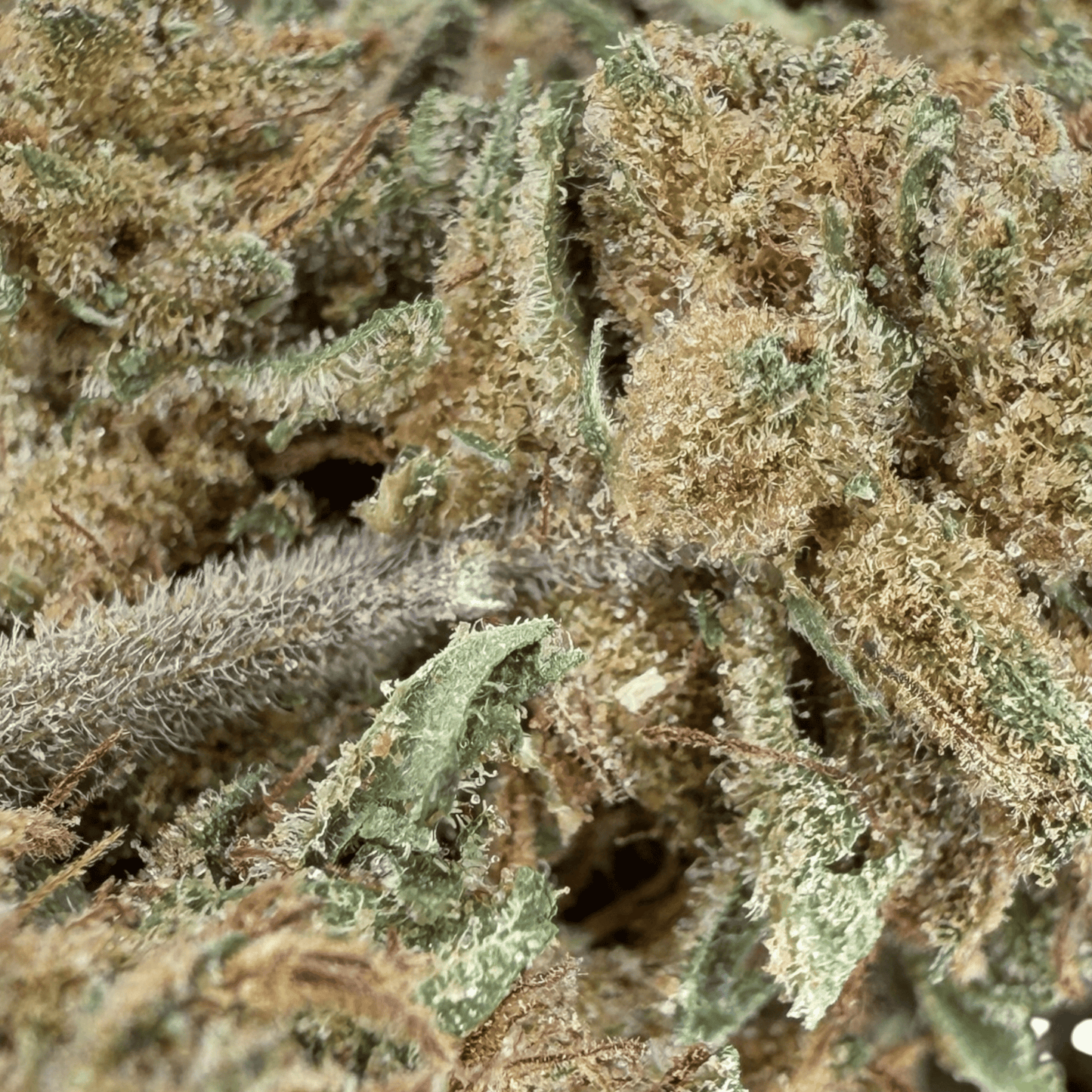SUPER SKUNK – BIO-CBD-BLÜTE