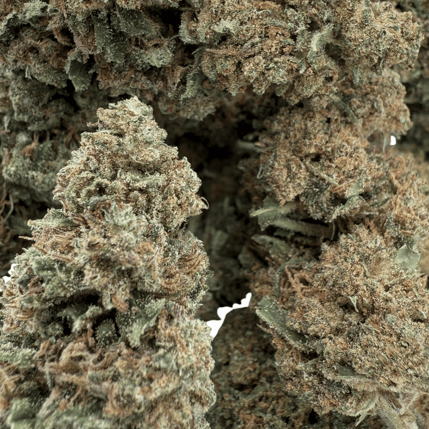 SUPER SKUNK – BIO-CBD-BLÜTE